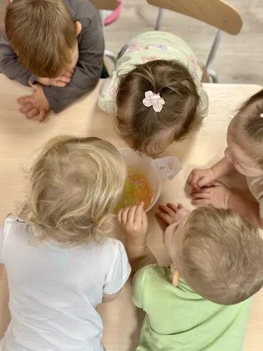 Niepubliczny Żłobek Borówka